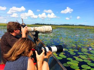 Mabamba Swamp Wetland Bay