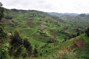 Uganda Hilly Areas