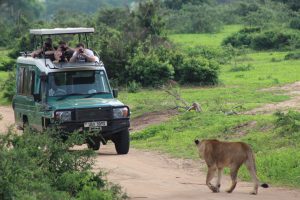 2 days murchison falls safari