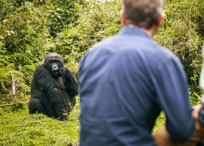 4-days-rwanda-gorilla-trekking-tour